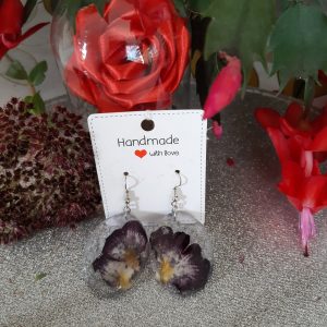 Pensées d'hiver Violette